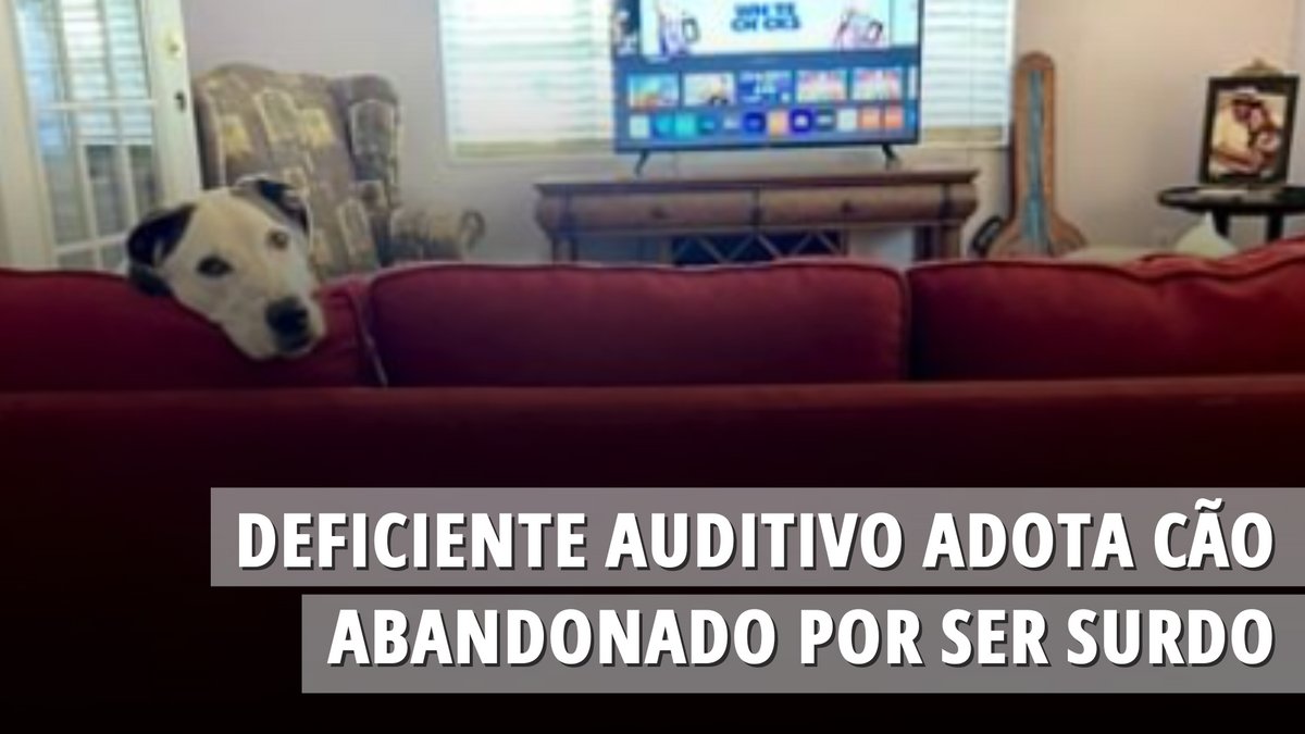 Deficiente auditivo adota cão abandonado por ser surdo